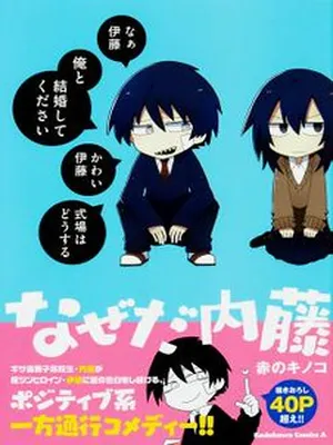 Why Naitou